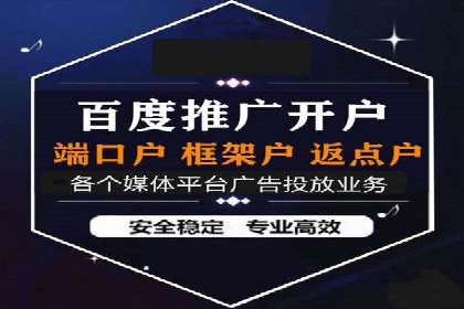 搜索开户返点政策下的成功案例分析
